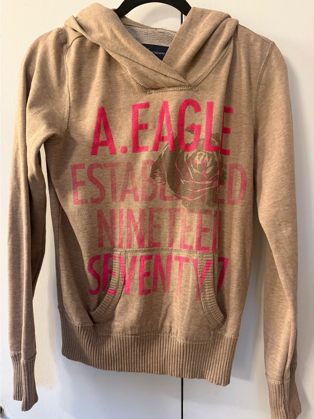 American Eagle Y2K Tan Pink Rose Graphic Hoodie S